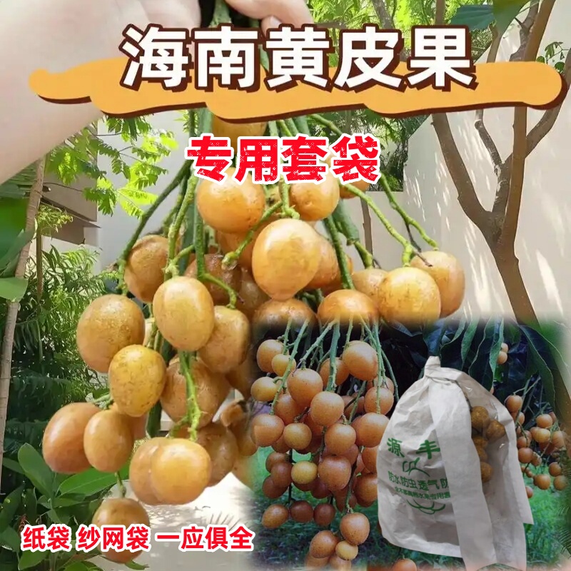 Specialized Anti-Insect Net Bags for Yellow-Skinned Fruits, Paper Bags to Protect Against Bird Damage, Side-Opening Cover for Longan