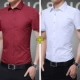 Вино красный+белый (короткие рукава)