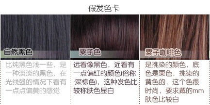 Extension cheveux - Chignon - Ref 248440 Image 7