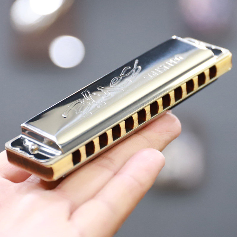 German Seid Seydel Solist Pro 12 holes Blues harmonica beginners Adult full soundstage