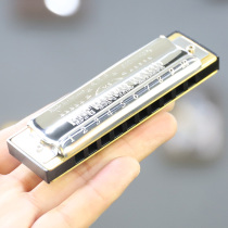 Germany and Leihohner Big River ten 10 hole blues harmonica beginner student adult