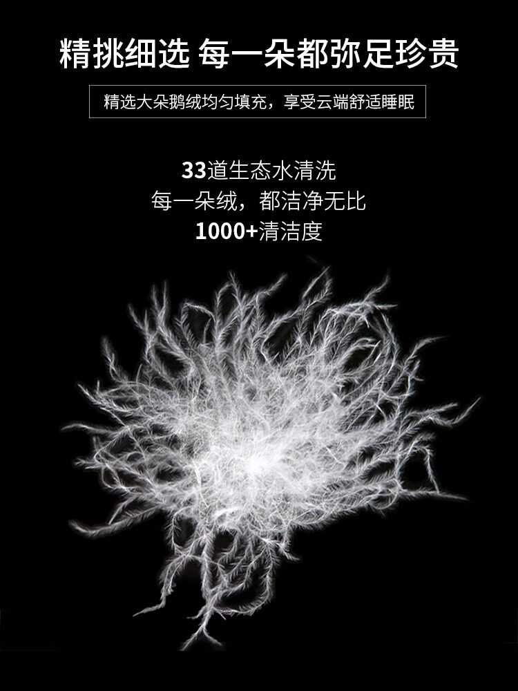 Hilton Five-Star Hotel down Pillow, Goose down Pillow Core, Antibacterial, Home Use, Cervical Spine Protection, Sleep Aid, Pair