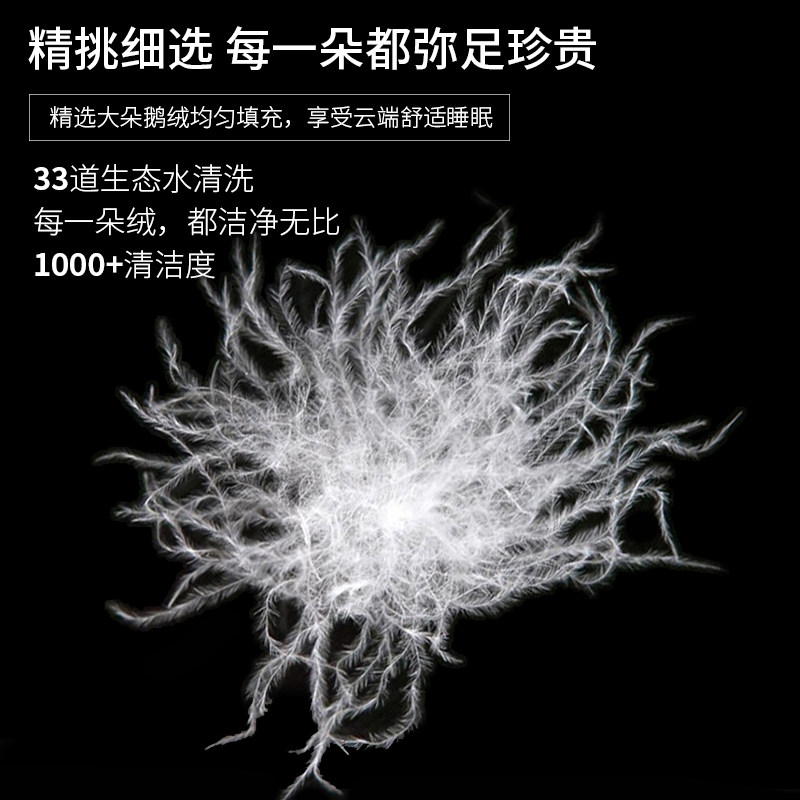 希尔顿五星级酒店羽绒枕头鹅绒枕芯学生抗菌家用护颈椎助睡眠一对 4