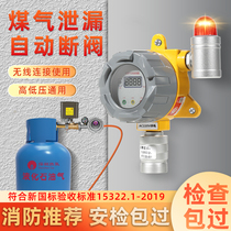 Gas alarm catering commercial combustible gas detection alarm device hotel liquefied natural gas gas leakage