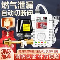 Gas Alarm Home Kitchen Catering Combustible Gas Detection Device Commercial Liquefied Natural Gas Gas Leak