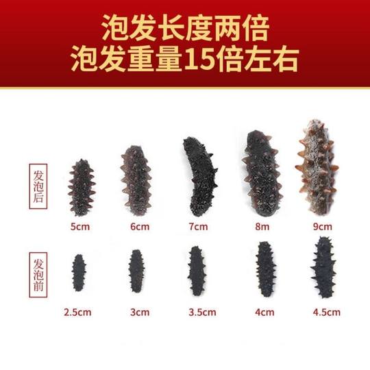 (Low Price) Wild Sea Cucumber Dried Goods, Lightly Dried Small Sea Cucumber, Dalian Sea Cucumber, Sea Cucumber with Spines, Not Ready-To-Eat, Quick-Release Ingredient for Buddha's Jump through the Wall Dish