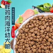 Thức ăn cho chó mục đích chung giá rẻ thức ăn cho chó loại phổ quát Thức ăn cho chó nhỏ loại chung 5 kg thức ăn cho chó loại chung 5 kg - Gói Singular