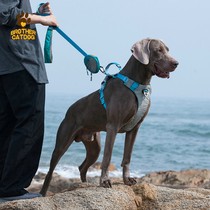 Tella Chest Strap Vest Style LARGE DOG OUTDOOR PET SUPPLIES EXPLOSION-PROOF PUNCHING DOG TRACTION ROPE IN DOG ROPE