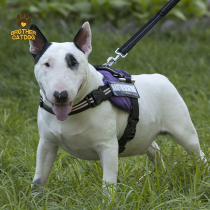 Dog ropes traction rope sturdy and adjustable vest-style luminous personality comfort without sticking fur dog chest braces