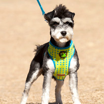 Mini Frog Round Point Pets Traction Rope Chest Harness Anti Pull Pull Fashion Zero Money Key Bag Pooch Dog Leash