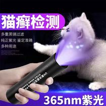 Lampe portative Rechargeable pour Nail Art lumière de mousse de chat détection dagent Fluorescent UV lumière violette Inspection de champignons