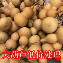 Natural Fengshui Hyacinth Town House Zhaocai Living Room Ornaments Natural Growth Home Accessories Large Medium and Small