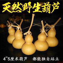 Natural play play with small gourd handlebar ornaments American hand twist small gourd fortune decoration small ornaments feng shui