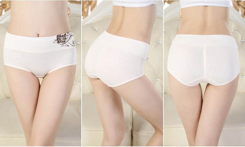 Slip jeunesse ADES12915 en coton - Ref 666009 Image 25