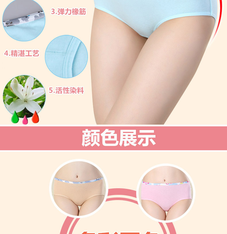 Slip jeunesse ADZL0063 en coton - Ref 665978 Image 11