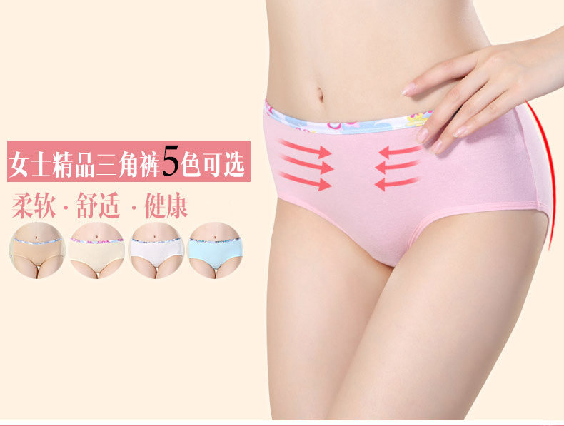 Slip jeunesse ADZL0063 en coton - Ref 665978 Image 6