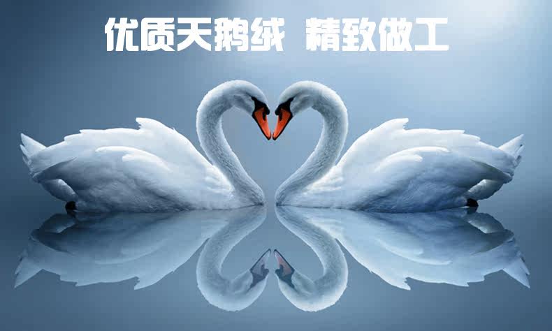 Chaussettes - collants AD98357 - Ref 778707 Image 8