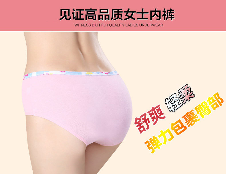 Slip jeunesse ADZL0063 en coton - Ref 665978 Image 7