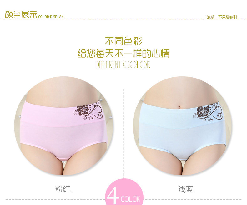 Slip jeunesse ADES12915 en coton - Ref 666009 Image 11