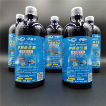 Ito em bacteria for ornamental fish Lactic acid nitrification raw liquid with feed probiotics Koi goldfish Tropical fish