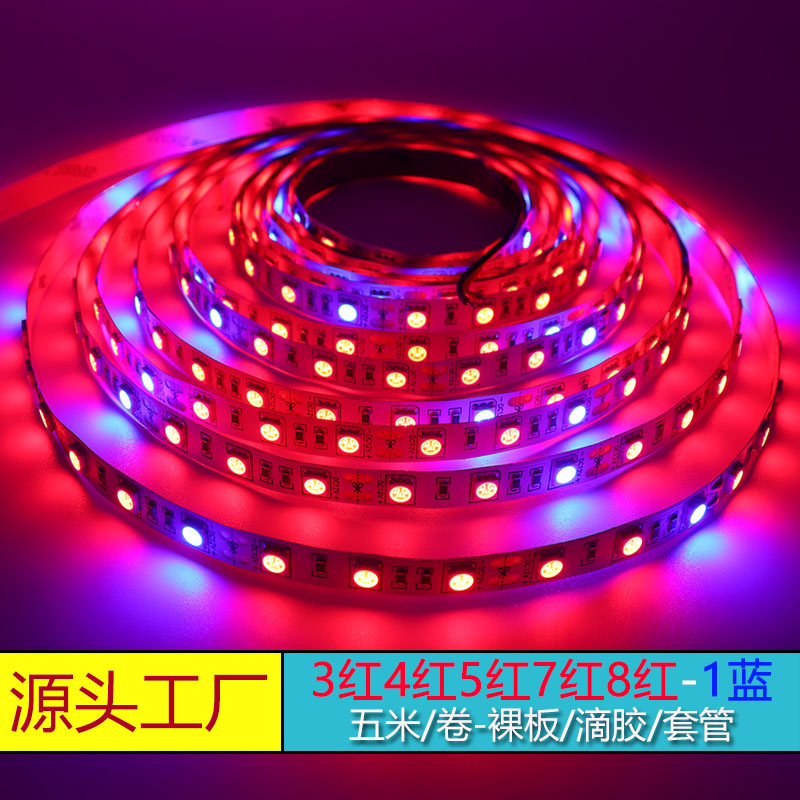 12V plant tonic light LED light strip 5050 plant growth lamp with large popeng multimeat vegetable meat nursery flower lamp