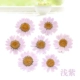 Crystal Chrysanthemum dập nổi Epoxy Bracelet Hoa khô Thời gian Đá quý Mặt dây chuyền Hướng dẫn DIY Chất liệu Trang sức Phụ kiện - Vòng đeo tay Cuff vòng vàng 18k kiểu mới