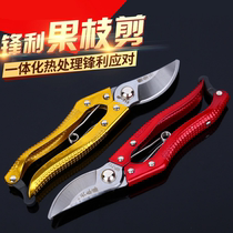 Factory direct garden fruit branch shears sharp and durable bonsai pruning fruit branch scissors Orchard elbow fruit tree scissors