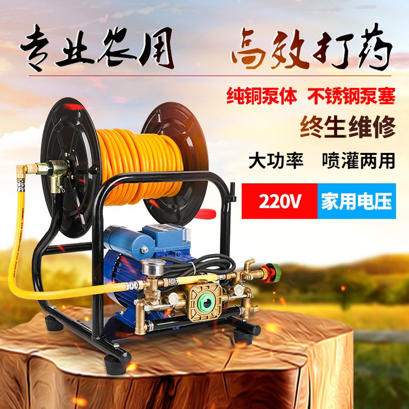 Agricultural portable high pressure disinfection 220V double cylinder electric sprayer multifunctional garden spraying machine spraying pump