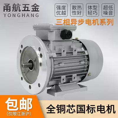 Copper core motor YE2-63M2-4 Y2 YS6324 aluminum shell 0 18kw vertical 380V speed control asynchronous motor
