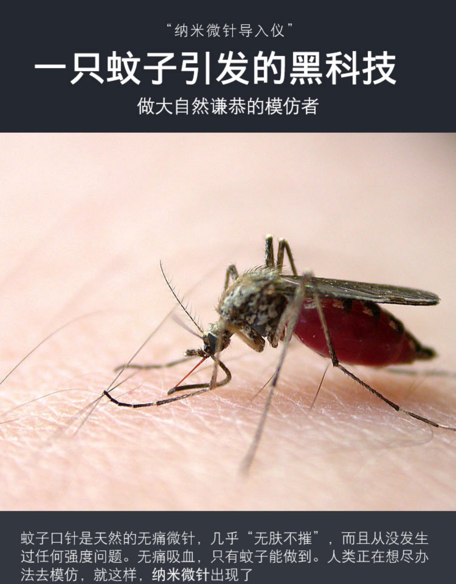 秋水堂 納米電動微針美容儀器臉部水光飛梭導入中胚mts微晶筆家用