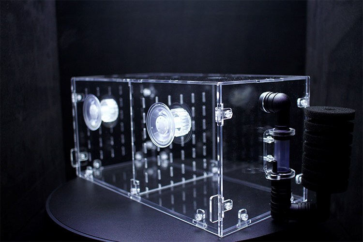 Fish tank acrylic water goblin gas lift pneumatic isolation box three lakes cichlids South American shaped rat fish breeding hatching box