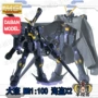 Taipan lắp ráp lên mô hình 6645 MG 1/100 Pirate X2 骷髅 Gửi áo choàng giải phóng mặt bằng - Gundam / Mech Model / Robot / Transformers gundam lắp ráp