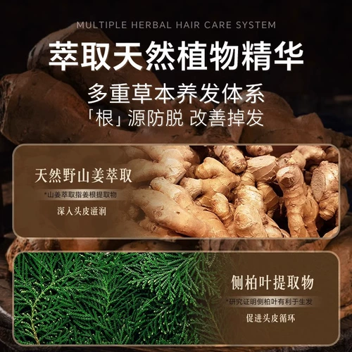 Водостойкий обезжиривающий шампунь с имбирем подходит для мужчин и женщин, придает объем