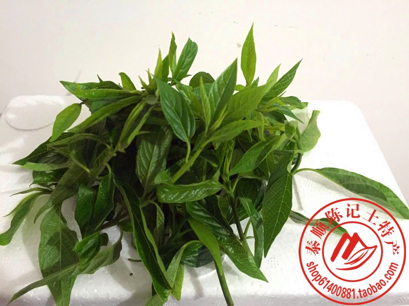 Wenzhou Taishun Chen Kee First Store Special Wild Clear Wind Silk Great Green Leafy Wild Hollow Vegetable Diamond now 250g