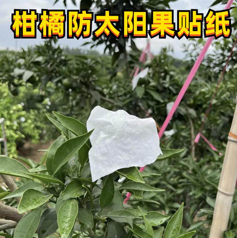 Citrus sun-proof stickers solar-proof labels fruit sunscreen paper citrus sunscreen fruit high temperature