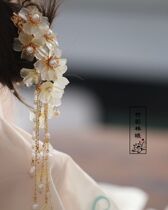 Hairclip female summer head hair accessories fairy glaze tassel Hanfu accessories Song side clip classical head clip
