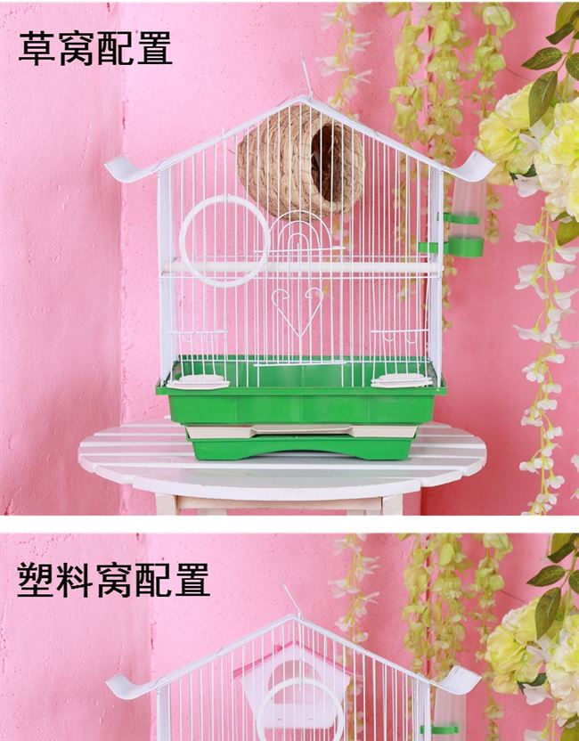 Tiger Peony Parrot Bird Lồng Wen Bird Lồng Chim nhỏ Lồng Nhà Chim Lồng chim Vật nuôi - Chim & Chăm sóc chim Supplies