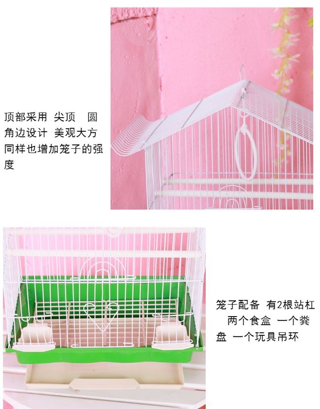 Tiger Peony Parrot Bird Lồng Wen Bird Lồng Chim nhỏ Lồng Nhà Chim Lồng chim Vật nuôi - Chim & Chăm sóc chim Supplies