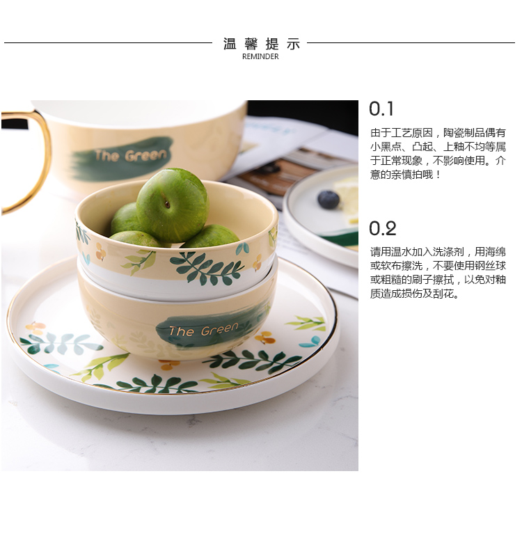 Selley ins small and pure and fresh green plant up phnom penh ceramic plates home western food steak plate round dish plate of pasta salad. It plate