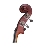 Феникс да Биди детей взрослые вход в начальную школу в начальной школе Дали Басс/Бейл скрипка flb11f