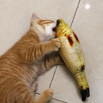 Testing cat toy fish simulation since Hey cat mint cat grinding teeth kitten cat kitten kitten artifact