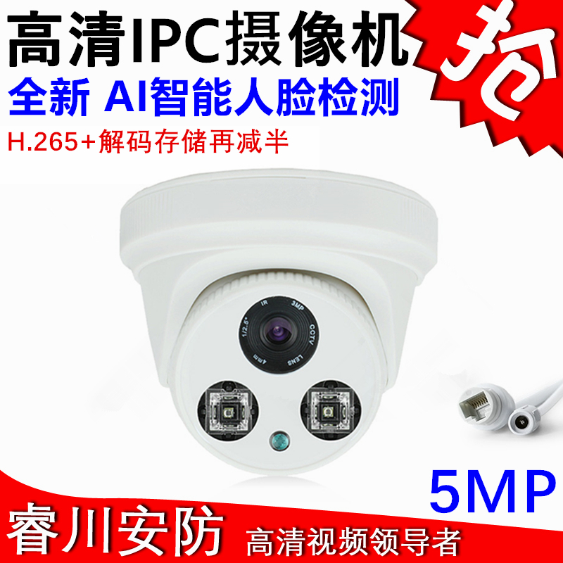 Xiongmai 2 million Internet Hemisphere POE Camera HD Night Vision mobile phone Remote with audio H 265 monitor