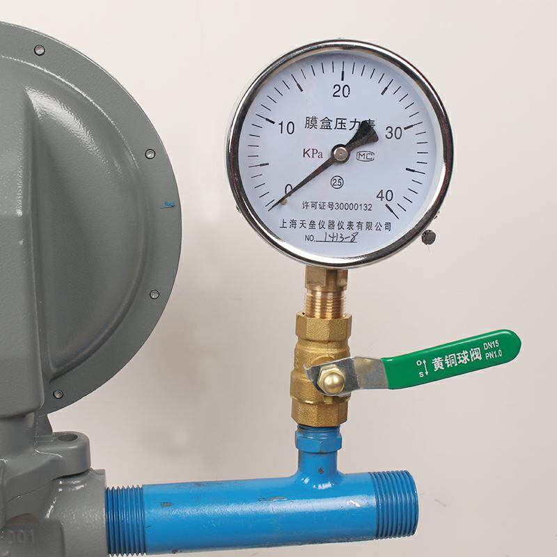 Stainless steel film case pressure gauge micro pressure gauge ye100 liquefied gas pressure gauge Chipkpa-Taobao