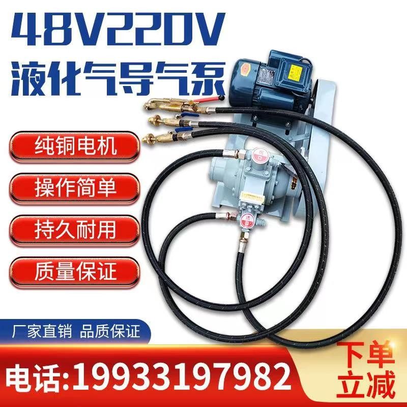Liquefied gas guide air pump Air pump 220V 48v inverted air pump 12V vehicle small air pump Propane high pressure pump