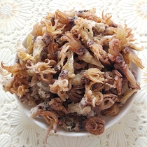 Fresh squid head 500g sea rabbit head pen tube fish seed Aconitum dried squid fish head seafood dry goods