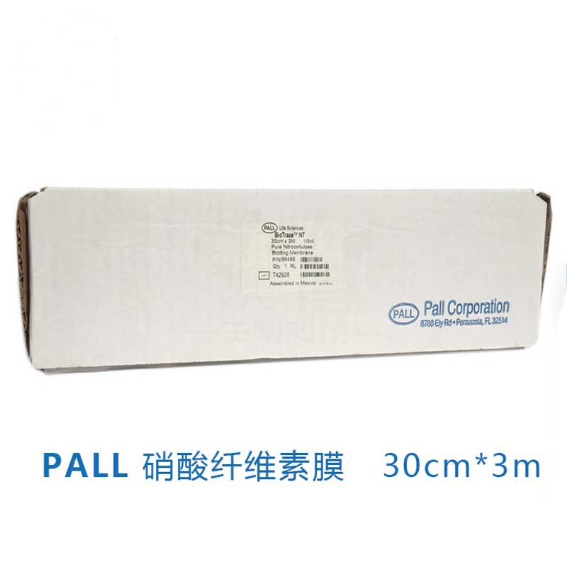硝酸Pall纤维素膜NC膜0.22u0.45uPN66485 30*300cm/卷15*20cm/张