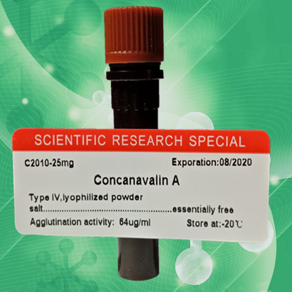 Experimental reagent knife bean protein Type A 4 ConA IV SigmaC2010 ] 25mg