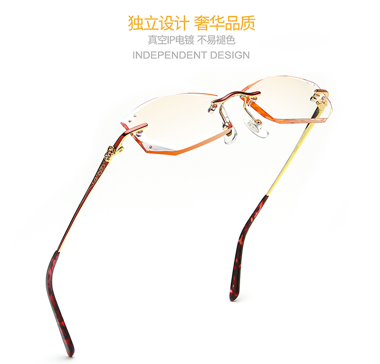 Montures de lunettes      en Titane pur - Ref 3139763 Image 8