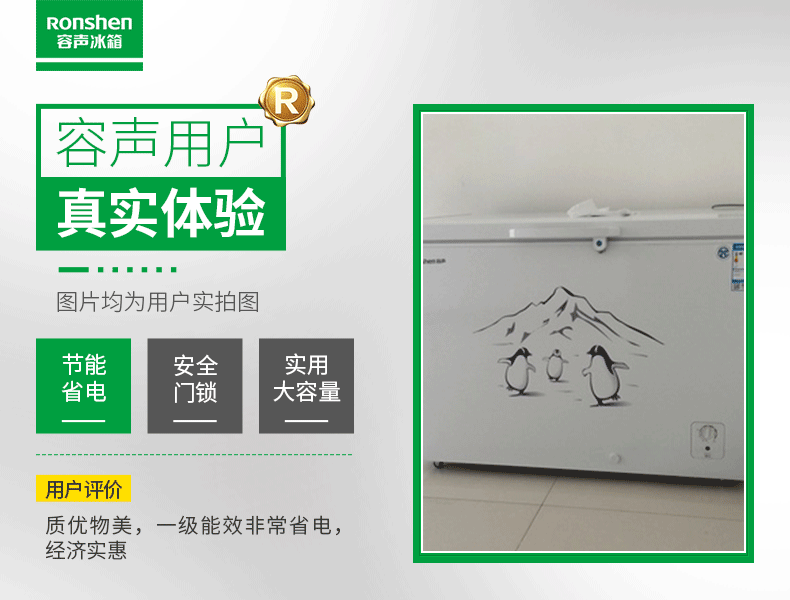 tủ đông kem Tủ đông tủ lạnh Ronshen / Rongsheng BD / BC-309MD 310MS 310 309 nguyên mẫu 99 mới - Tủ đông tủ kem