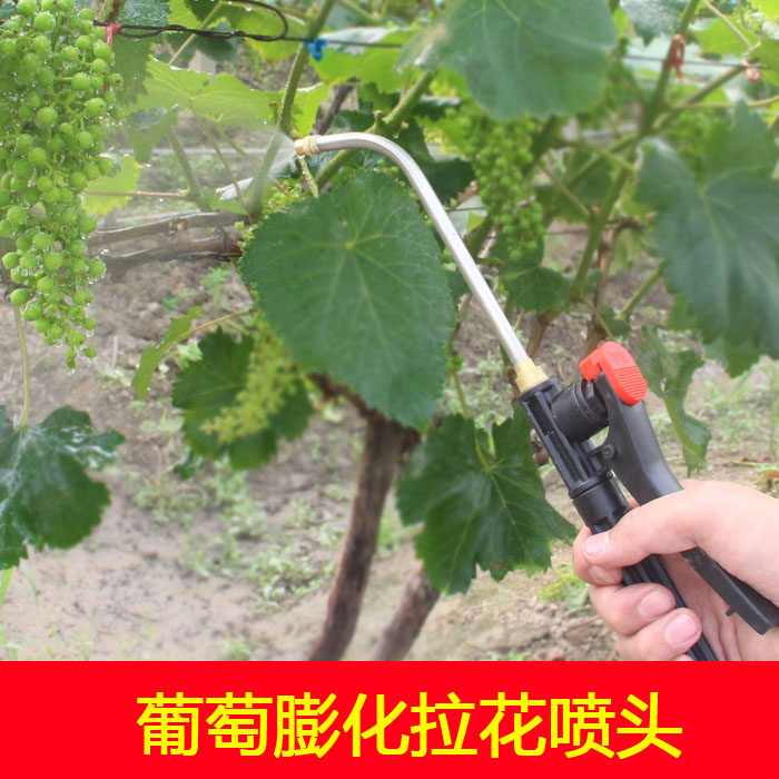 Electric sprayer spray nozzle spray machine ultra-fine atomization adjustable grape puffed special shower nozzle can be sprayed straight
